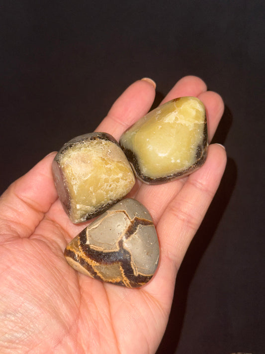 septarian tumble