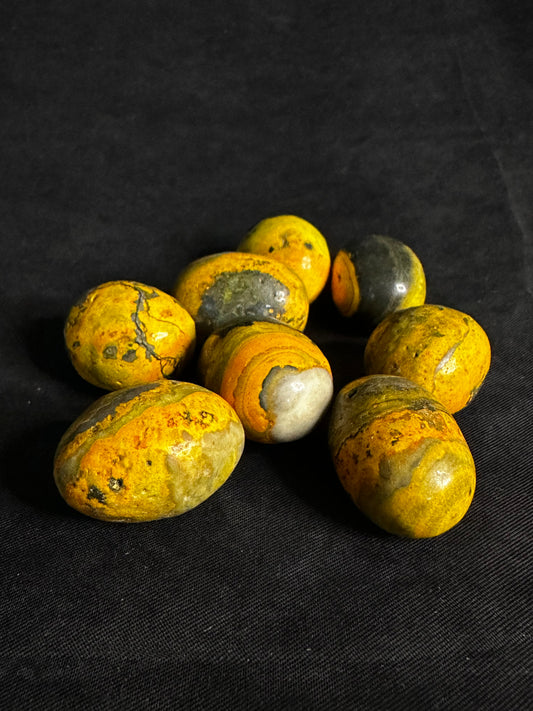 bumblebee jasper tumble