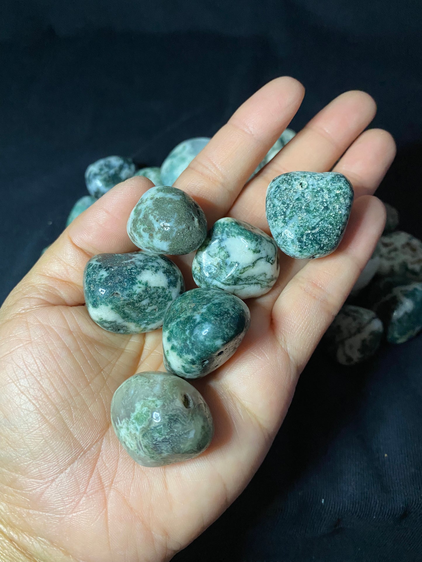 tree agate tumblez - set of 2