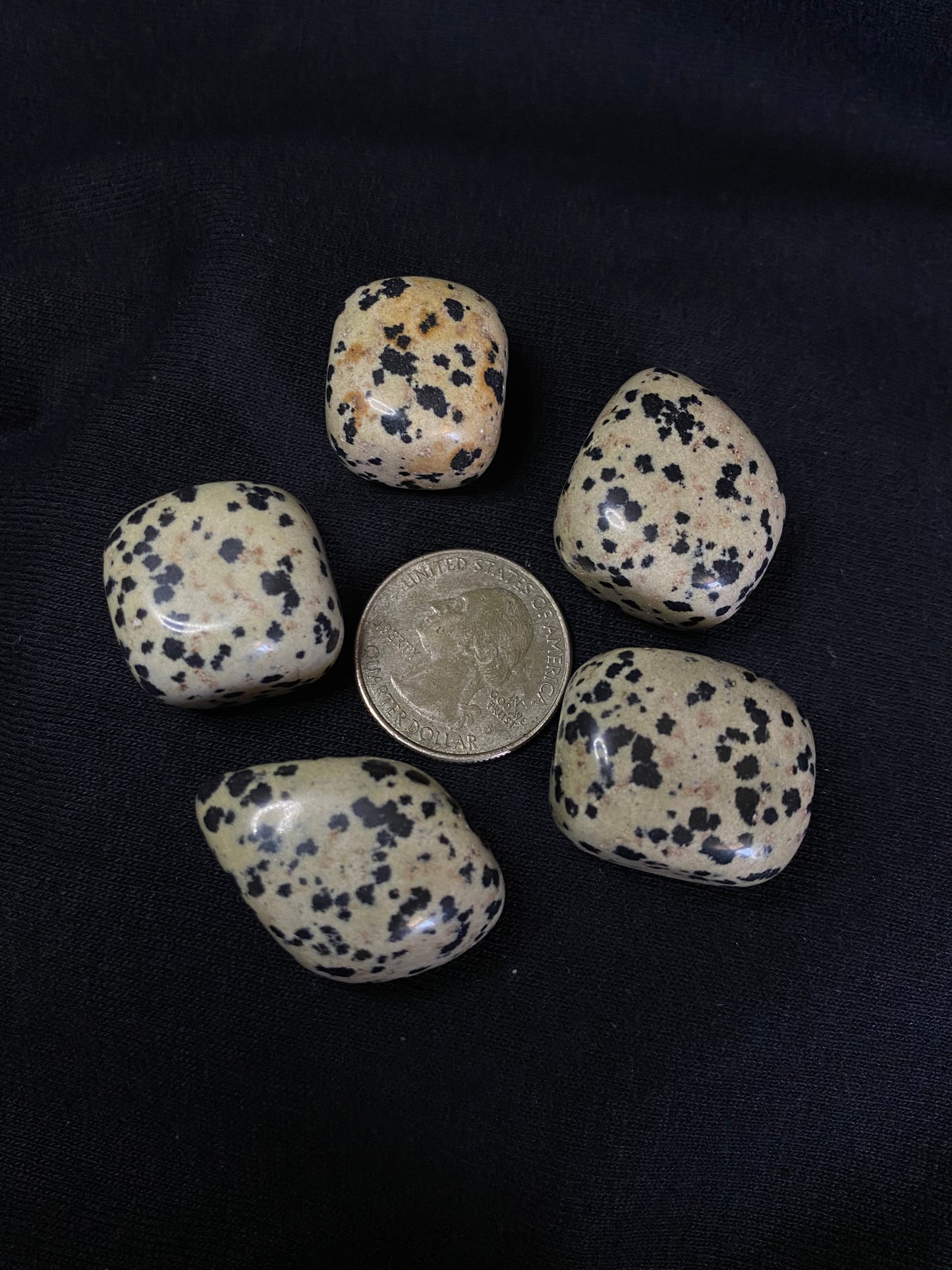 dalmatian jasper tumbled