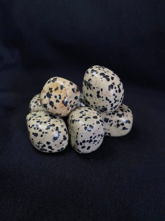 dalmatian jasper tumbled