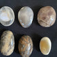 palm stones